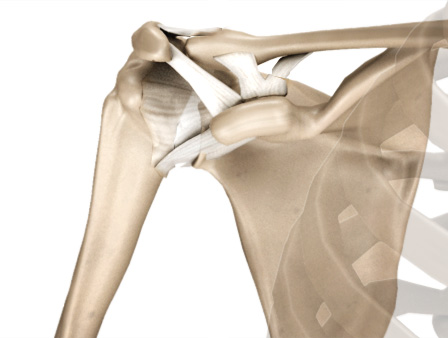 Acromioclavicular Joint Boise | AC Joint Arthritis Boise | Eagle ID