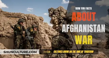 The Surprising Stories from the Afghanistan War: A Historical Perspective