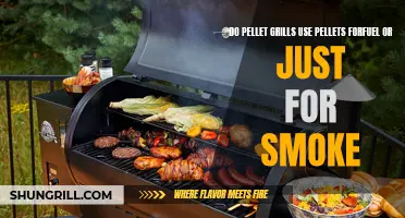 How Do Pellet Grills Use Pellets - For Fuel or Just for Smoke?