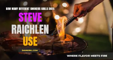 The Wide Array of Smoker Grills Utilized by Steve Raichlen