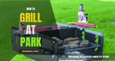 Master the Art of Grilling at the Park: A Beginner's Guide