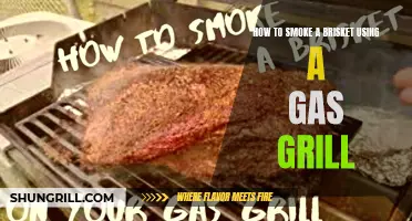 Master the Technique: How to Smoke a Brisket Using a Gas Grill