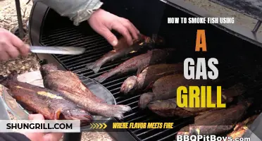 Smoking Fish with Ease: Mastering the Art Using a Gas Grill