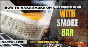 Mastering the Art of Smoking with a Gas Grill and Smoke Box