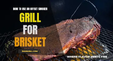 Mastering the Art of Brisket: A Guide to Using an Offset Smoker Grill