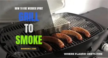 Mastering the Art of Smoking with a Weber Spirit Grill