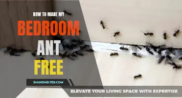 Ant-Free Bedroom: Simple Steps to Take Back Your Space