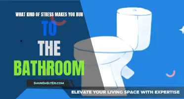 The Gut-Wrenching Truth: The Types of Stress That Send You Running to the Bathroom