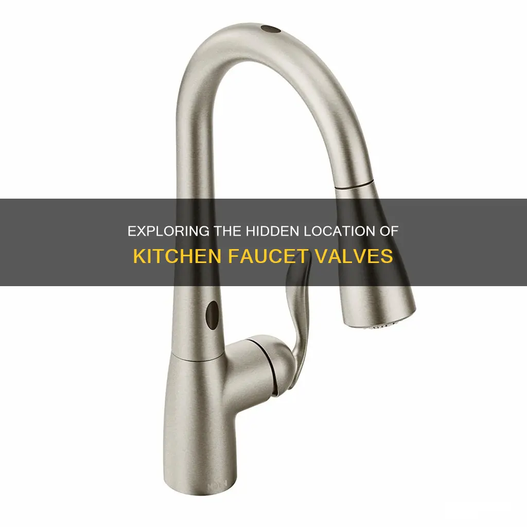 Exploring The Hidden Location Of Kitchen Faucet Valves | ShunShelter