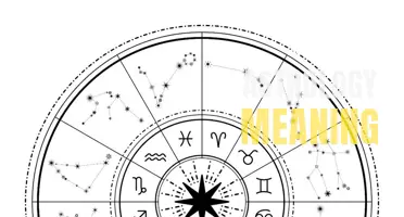 Understanding the Meaning of 12 House Astrology