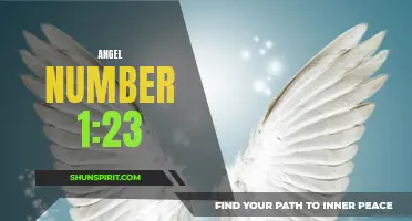 Understanding the Meaning of Angel Number 1:23