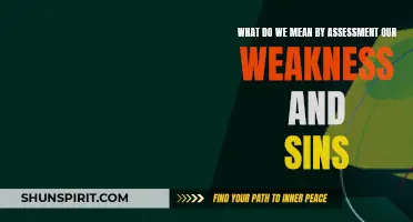 Understanding Our Weaknesses and Sins: A Personal Assessment