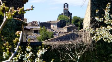 Spring blossoms in Lourmarin