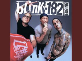 Blink-182 Wildfire Relief