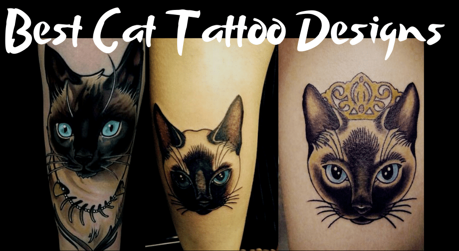 Best Cat Tattoo Designs