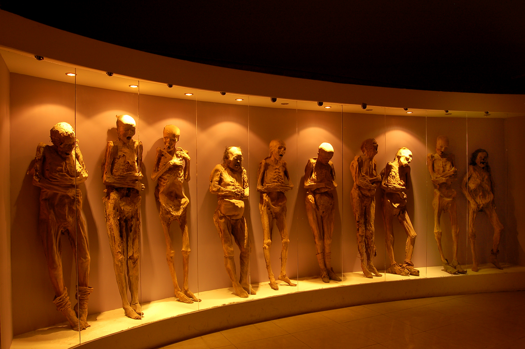 The Mummies Museum in Guanajuato: A Look Into Mexico’s Strange Cultural ...