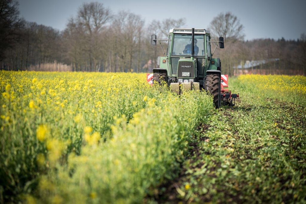 roundup weed and grass killer