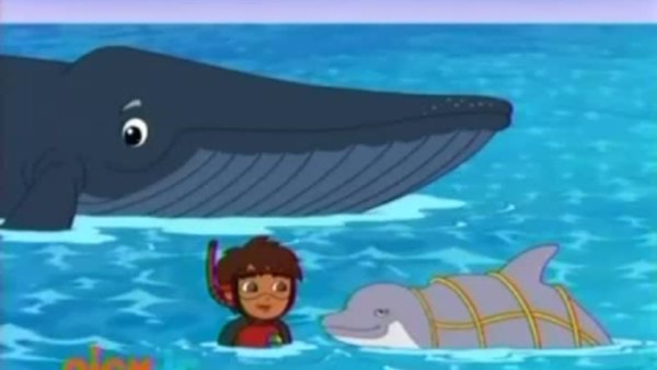 Go Diego Go Ocean