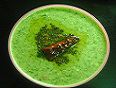 Spinach Curd Curry