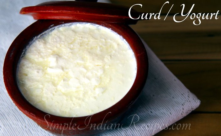 Homemade Curd / Yogurt 