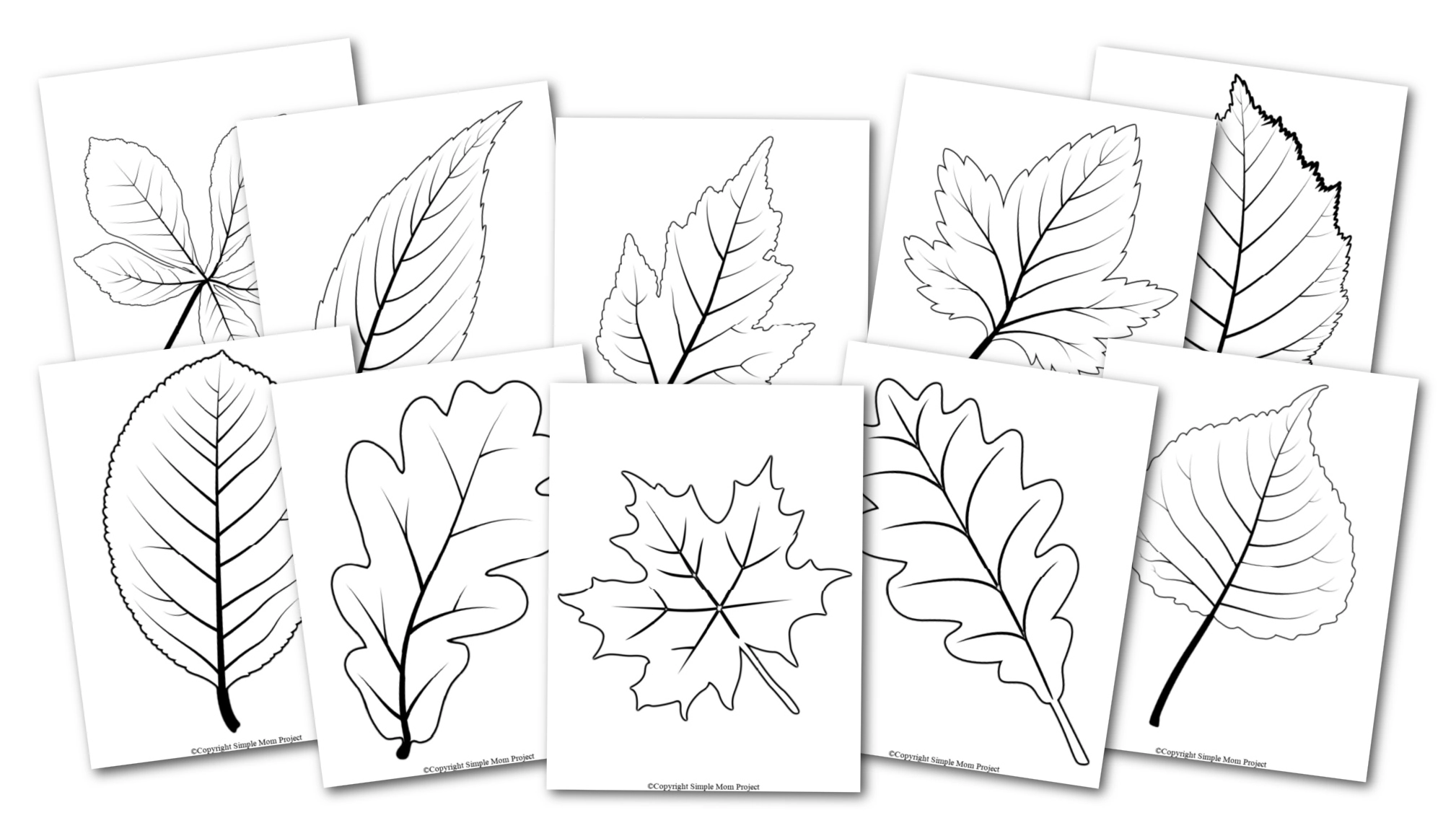 Free Fall Leaves Printables