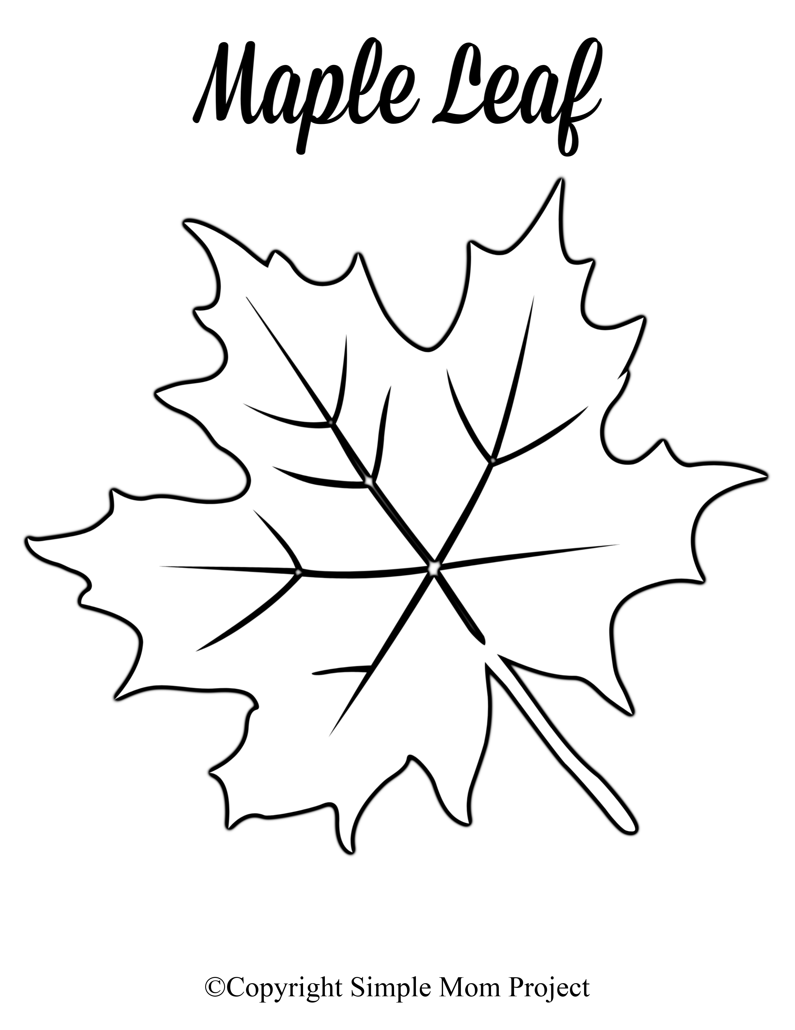 Free Printable Leaf Patterns