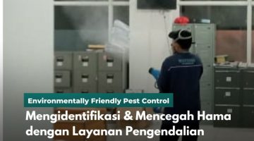 Mengidentifikasi & Mencegah Hama dengan Layanan Pengendalian Hama Profesional (1)