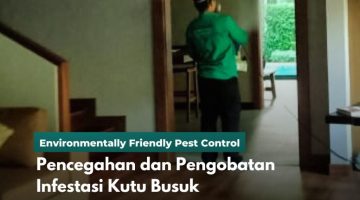 Pencegahan dan Pengobatan Infestasi Kutu Busuk