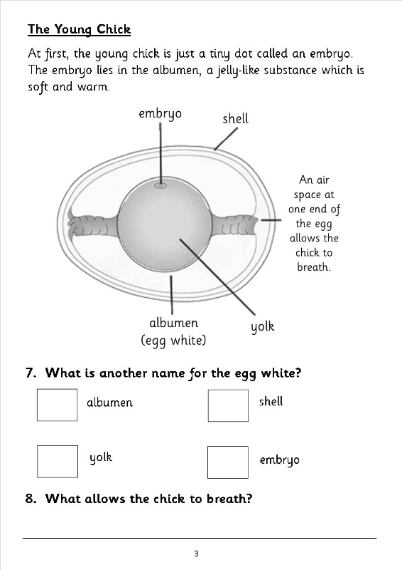 EYFS, KS1, KS2, SEN, IPC,literacy, SATs reading, comprehension, non ...