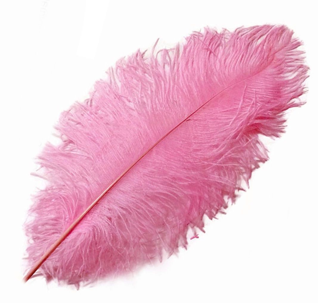 Candy Pink Ostrich Feather