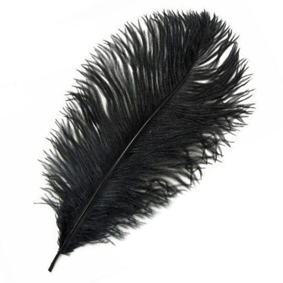 Black Ostrich Feather