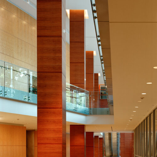 Custom Architectural Wood Veneer Manufacturing • SJ Morse