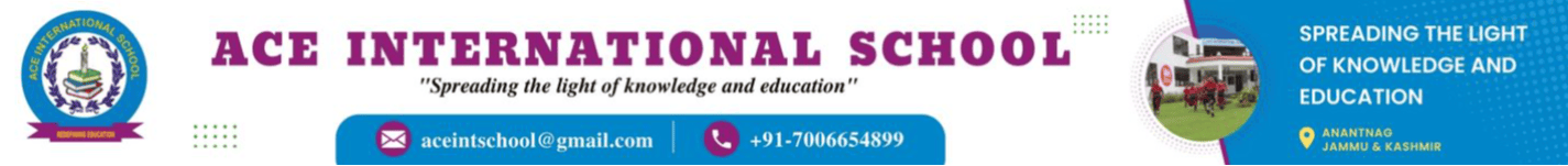 Ace International School