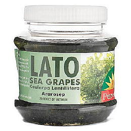 Puregold Lato Sea Grapes (arosep) 230 G