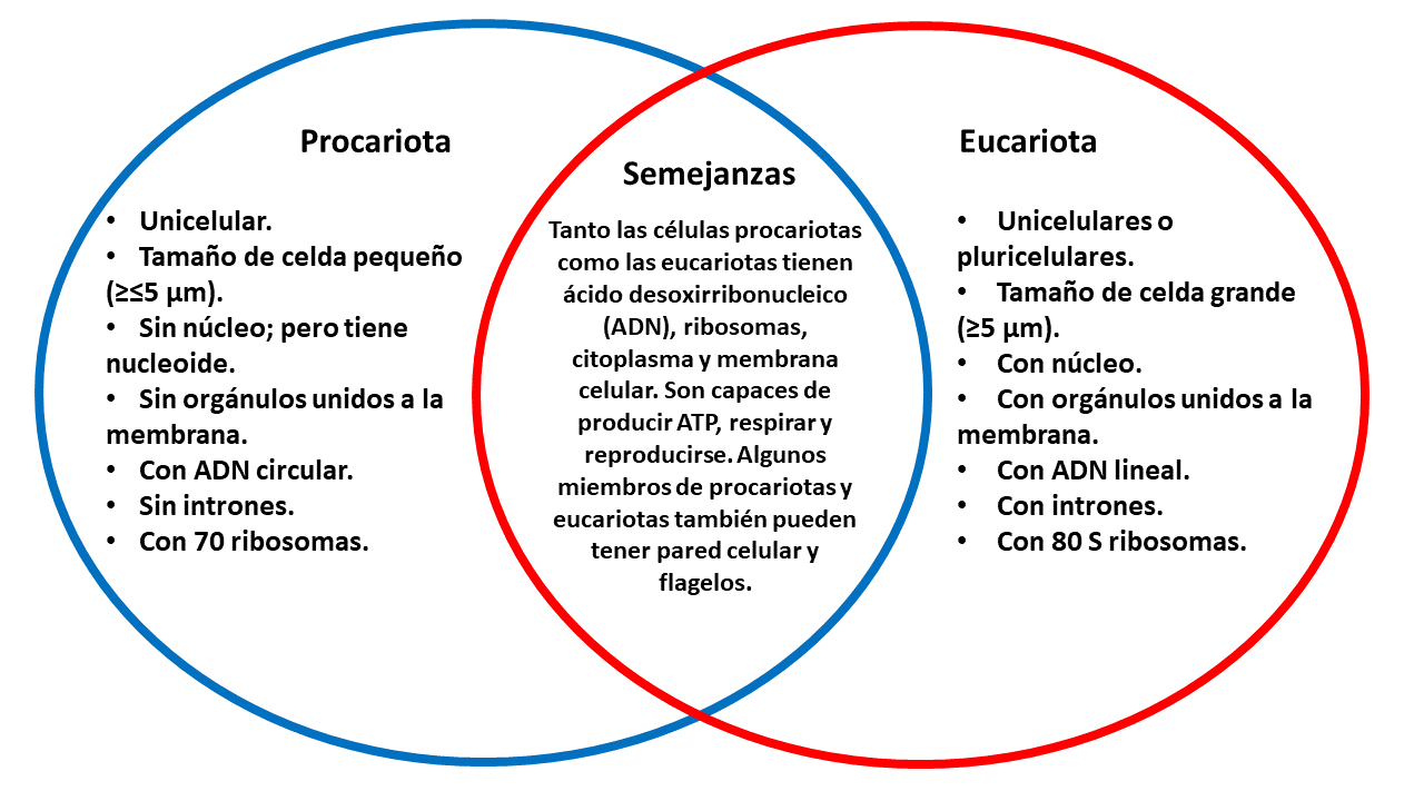 Haz un diagrama de Venn para comparar y contrastar las carac | Quizlet