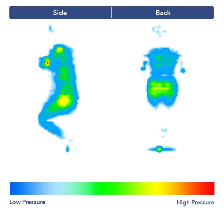 A closer look at our pressure map to test pressure relief features in each mattress.