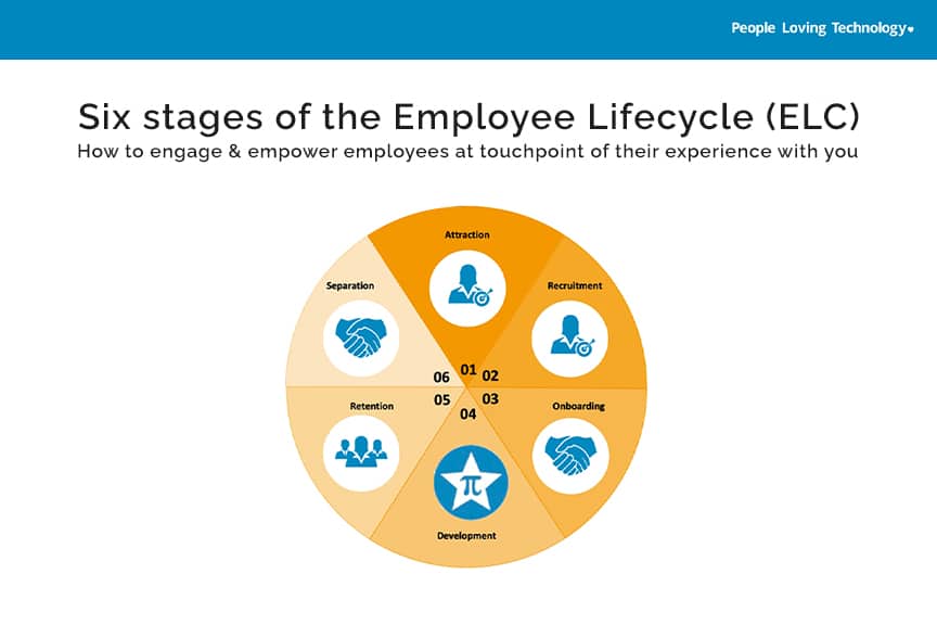 Using The Employee Life Cycle As Your Roadmap To Empl - vrogue.co