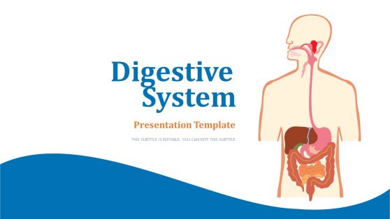 Digestive System PowerPoint Template