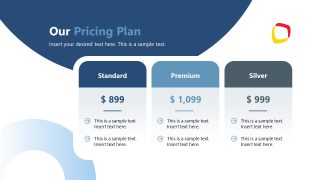 Business Company Profile Template - Pricing Slide 