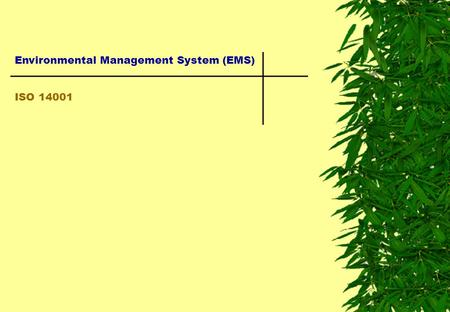 Environmental Management System (EMS)