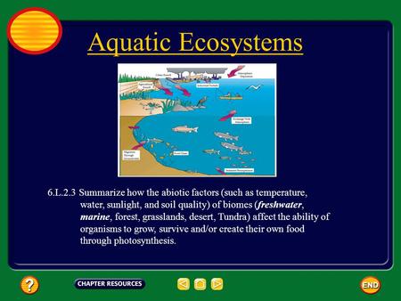 Aquatic Ecosystems 6.L.2.3 Summarize how the abiotic factors (such as temperature, water, sunlight, and soil quality) of biomes (freshwater,