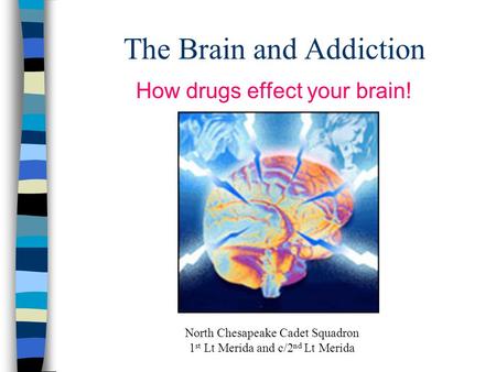 The Brain and Addiction