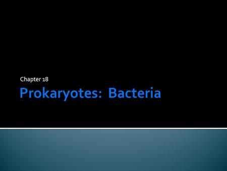 Chapter 18.  Domain Archaea  Only one kingdom: Archaebacteria ▪ Cells contain cell walls ▪ Live in extreme environments (hot, acidic, salty, no O 2.