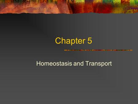 Homeostasis and Transport