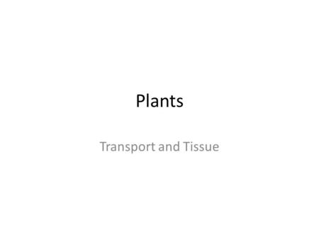 Plants Transport and Tissue 2005-2006 Transport in plants H 2 O & minerals – transport in xylem – transpiration Sugars – transport in phloem – bulk flow.