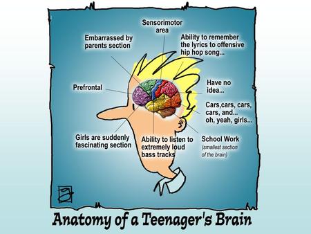 What do I know about my brain? Answer True or False 1.The brain learns best by reciting and repeating information. 2. The brain is largely a finished.