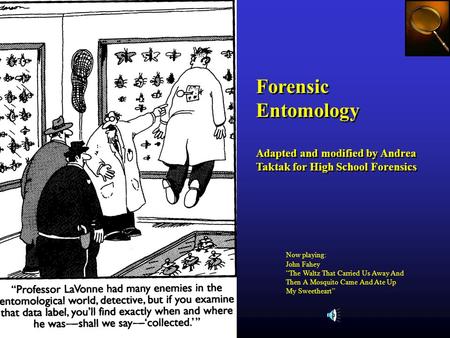 Forensic Entomology Adapted and modified by Andrea Taktak for High School Forensics Forensic Entomology Adapted and modified by Andrea Taktak for High.