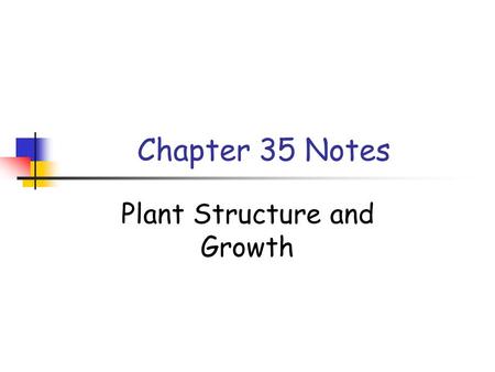 Plant Structure and Growth