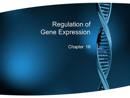 Regulation of Gene Expression Chapter 18. Warm Up Explain the difference between a missense and a nonsense mutation. What is a silent mutation? QUIZ TOMORROW: