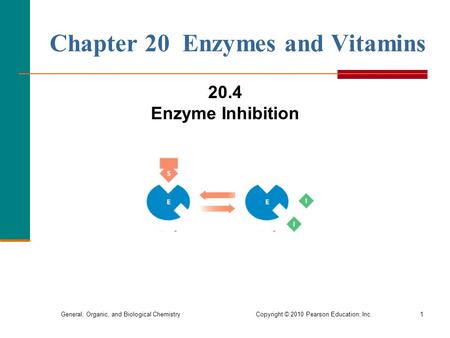 Chapter 20 Enzymes and Vitamins